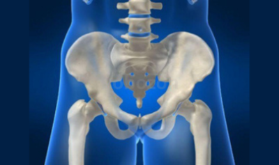 The-Hip-Symposium-Clinical-Medicine-Functional-Science-and-Applications-of-the-Hip-and-Trunk-By-Shane-Nho-free-download