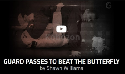 Guard-Passes-to-Beat-the-Butterfly-By-Shawn-Williams-free-download