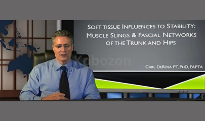 Soft-Tissue-Influences-to-Stability-Muscle-Slings-&-Fascial-Networks-of-the-Trunk-and-Hips-By-Carl-DeRosa-free-download