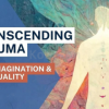 Transcending-Trauma-Art-Imagination-&-Spirituality---Collection-By-Leanne-Domash-&-Terry-Marks-Tarlow-free-download