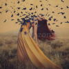 Fine-Art-Photography:-The-Complete-Guide-By-Brooke-Shaden-free-download