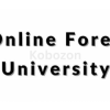 Online-Forex-University-Course-free-download