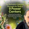 An-Herbalist-Journey-Through-the-Body’s-9-Power-Centers-by-David-Crow-The-Shift-Network-free-download