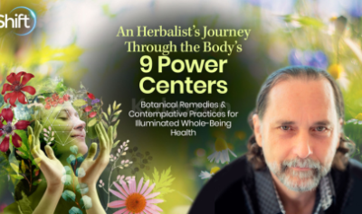 An-Herbalist-Journey-Through-the-Body’s-9-Power-Centers-by-David-Crow-The-Shift-Network-free-download