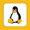 Linux-Administration-Bootcamp-By-Stone-River-eLearning-free-download