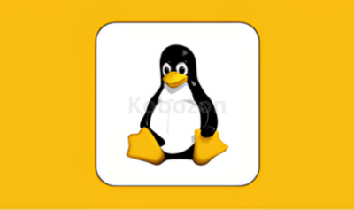 Linux-Administration-Bootcamp-By-Stone-River-eLearning-free-download