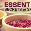 The-Everyday-Gourmet-Essential-Secrets-of-Spices-in-Cooking-By-Bill-Briwa-free-download