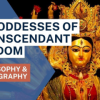 The-10-Goddesses-of-Transcendent-Wisdom---Collection-By-Constantina-Rhodes-free-download