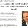 How-to-Use-Brain-Science-to-Help-Patients-Accelerate-Healing-after-Trauma-By-NICABM-free-download