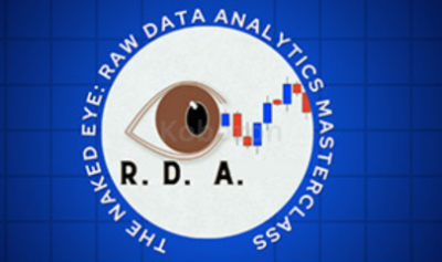 The-Naked-Eye:-Raw-Data-Analytics-By-Edgar-Torres---Raw-Data-Analytics-free-download