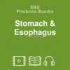 Stomach-and-Esophagus---Seminar-Tutorial-By-GHK-Academy-free-download