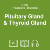 Pituitary---Thyroid---Seminar-Tutorial-By-GHK-Academy-free-download