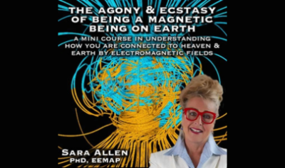 The-Agony-and-Ecstasy-of-Being-a-Magnetic-Being-on-Earth-by-Sara-Allen-free-download