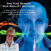 The-Five-Senses-–-Our-Reality-Shapers-by-Sara-Allen-free-download