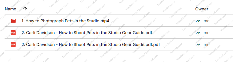 How to Photograph Pets in the Studio By Carli Davidson Free Download