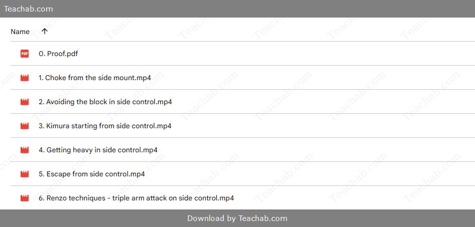 Training Session - Side Control Attacks by Renzo Gracie Free Download