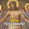 The-New-Testament-By-Bart-Ehrman-free-download