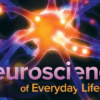 The-Neuroscience-of-Everyday-Life-By-Sam-Wang-free-download