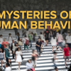 Understanding-the-Mysteries-of-Human-Behavior-By-Mark-Leary-free-download